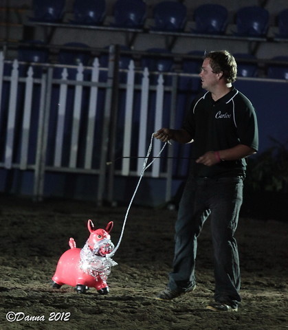 25th East Coast Championship Show 2012- Finals