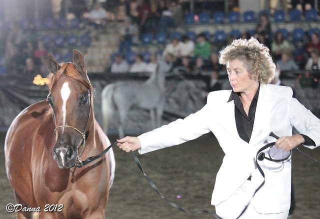 25th East Coast Championship Show 2012- Finals