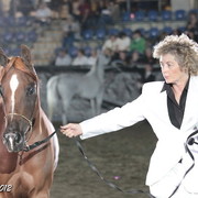 25th East Coast Championship Show 2012- Finals