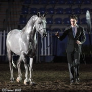 25th East Coast Championship Show 2012- Finals