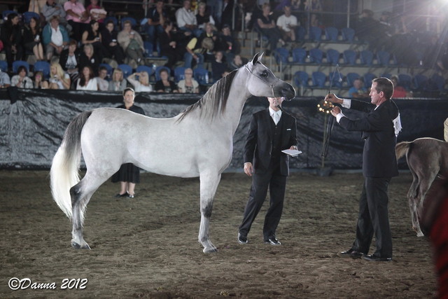 25th East Coast Championship Show 2012- Finals