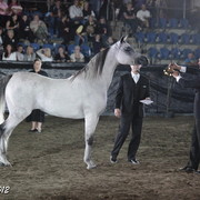 25th East Coast Championship Show 2012- Finals