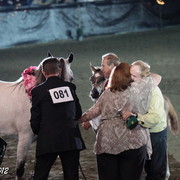 25th East Coast Championship Show 2012- Finals