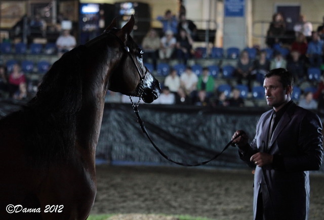 25th East Coast Championship Show 2012- Finals