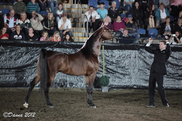 25th East Coast Championship Show 2012- Finals