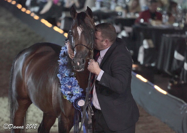 25th East Coast Championship Show 2012- Finals