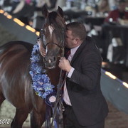 25th East Coast Championship Show 2012- Finals