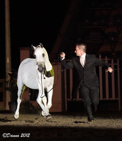 25th East Coast Championship Show 2012- Finals