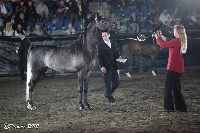 25th East Coast Championship Show 2012- Finals