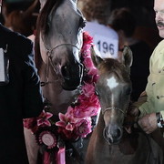 25th East Coast Championship Show 2012- Finals