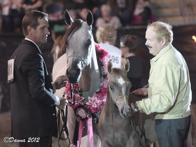 25th East Coast Championship Show 2012- Finals