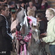 25th East Coast Championship Show 2012- Finals