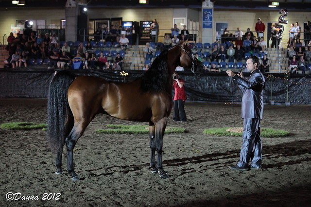 25th East Coast Championship Show 2012- Finals