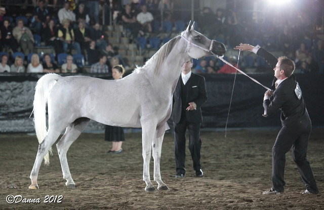 25th East Coast Championship Show 2012- Finals