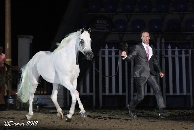 25th East Coast Championship Show 2012- Finals