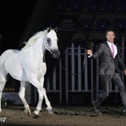 25th East Coast Championship Show 2012- Finals