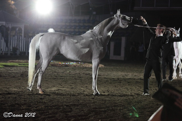 25th East Coast Championship Show 2012- Finals