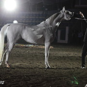 25th East Coast Championship Show 2012- Finals