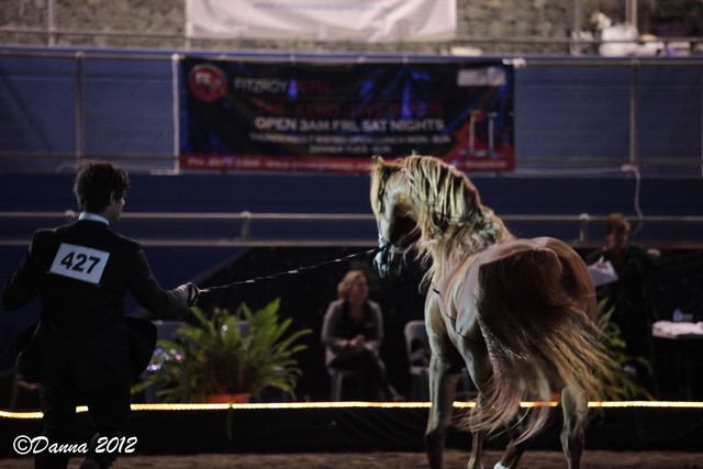 25th East Coast Championship Show 2012- Finals