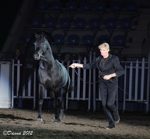 25th East Coast Championship Show 2012- Finals