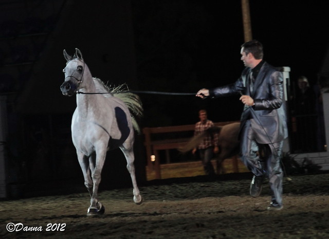 25th East Coast Championship Show 2012- Finals