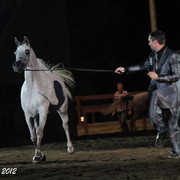 25th East Coast Championship Show 2012- Finals