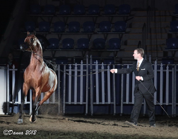 25th East Coast Championship Show 2012- Finals