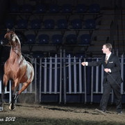 25th East Coast Championship Show 2012- Finals