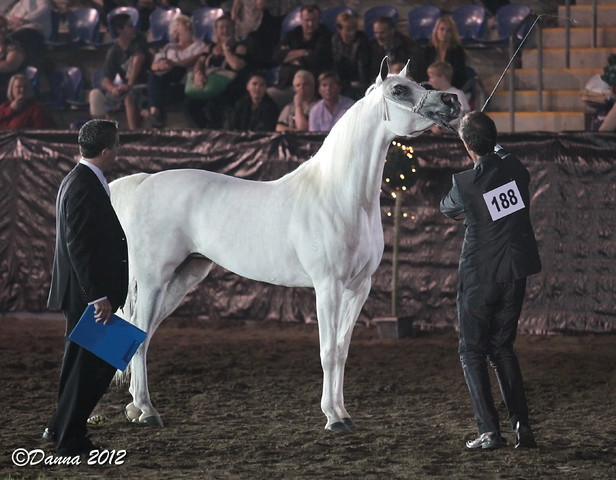 25th East Coast Championship Show 2012- Finals