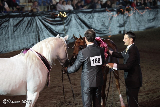 25th East Coast Championship Show 2012- Finals