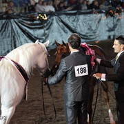 25th East Coast Championship Show 2012- Finals