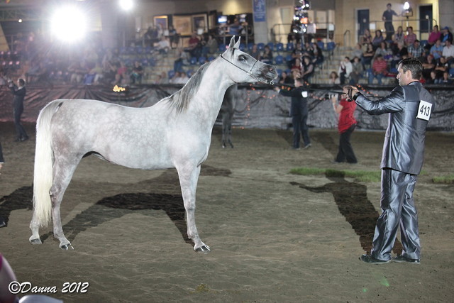 25th East Coast Championship Show 2012- Finals