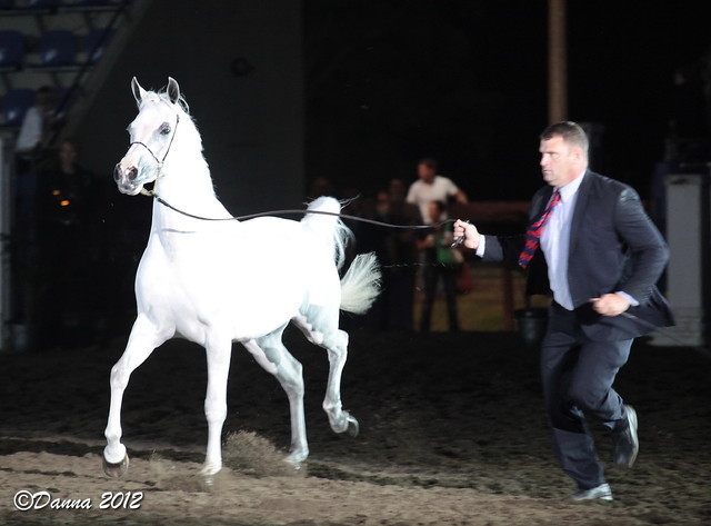 25th East Coast Championship Show 2012- Finals