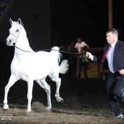 25th East Coast Championship Show 2012- Finals