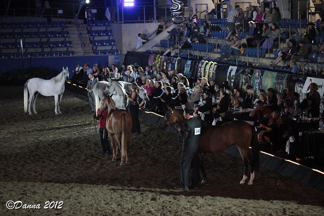 25th East Coast Championship Show 2012- Finals