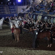 25th East Coast Championship Show 2012- Finals