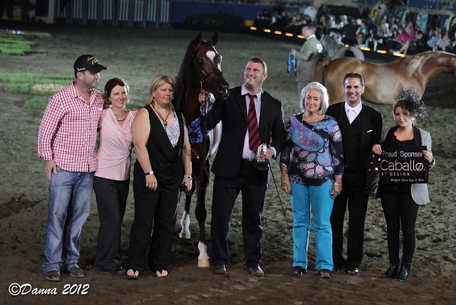 25th East Coast Championship Show 2012- Finals