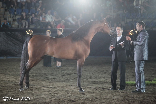 25th East Coast Championship Show 2012- Finals