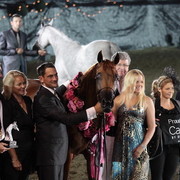 25th East Coast Championship Show 2012- Finals