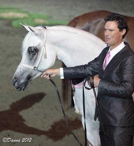 25th East Coast Championship Show 2012- Finals