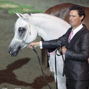 25th East Coast Championship Show 2012- Finals