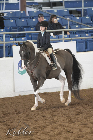 2012 Scottsdale Show | Days 1 & 2