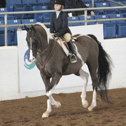 2012 Scottsdale Show | Days 1 & 2