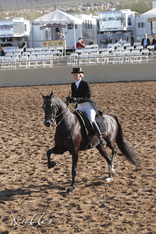 2012 Scottsdale Show | Days 1 & 2