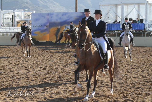 2012 Scottsdale Show | Days 1 & 2