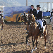 2012 Scottsdale Show | Days 1 & 2