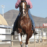 2012 Scottsdale Show | Days 1 & 2