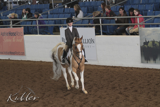 2012 Scottsdale Show | Days 1 & 2