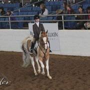 2012 Scottsdale Show | Days 1 & 2