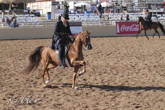 2012 Scottsdale Show | Days 1 & 2